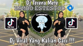 Download lagu DJ TERENA METE 𝙱𝙰𝙼𝙱𝙾 𝙴𝚂𝚃𝙴𝚂𝚃𝙾𝙳 🌀 VIRAL TIK TOK TERBARU 2023 YANG KALIAN CARI ! mp3