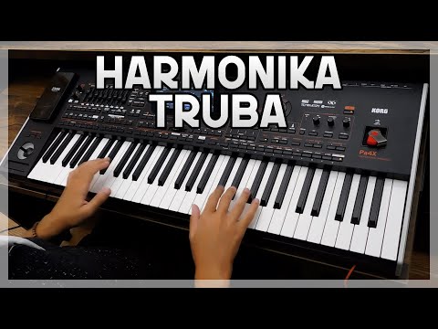 Harmonika I Truba 9/8 // MARKO MX - Brzi Solo - KORG Pa4x!