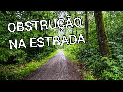 Removendo árvore caída na estrada do povoado paraíso - Tasso Fragoso Maranhão