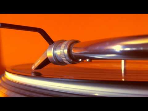 Megalodon & Conscious Pilot - Like This feat. Doctor