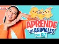 Aprende Peque Con Isa Ft Canticosworld Primeras Palabras Para Peques  Animales Toddler Fun