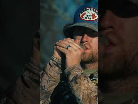 Power Calls - Short Circuit Combo Pack