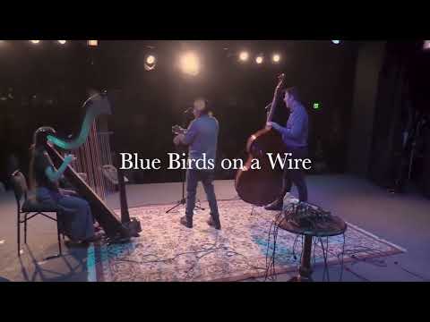 Blue Birds On a Wire, Front Porch Presents at Town Hall Theatre.