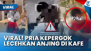 Pria Tepergok Lecehkan Anjing di Kafe Pluit, Kini Ditangkap Polisi seusai Rekaman Video Jadi Bukti