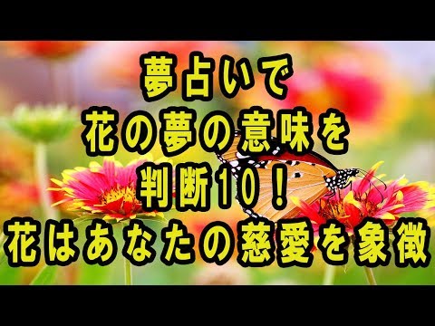 【夢占い】花の意味！努力や能力の開花を暗示する？ | takajin
