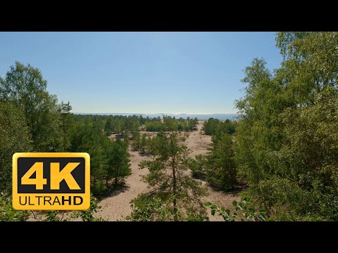 【4K】Virtual Hike at Keisarin Kierros - Yyteri, Pori, Finland