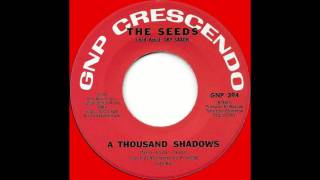 THE SEEDS - A Thousand Shadows