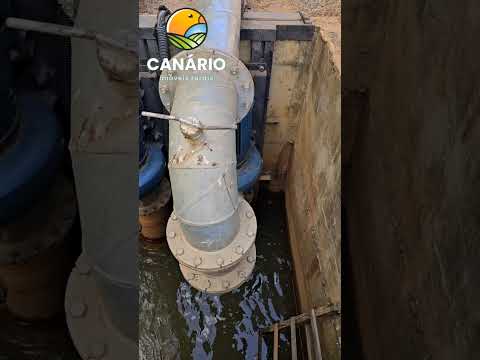 Fazendas irrigação à venda em João Pinheiro - MG. #fazendaavenda #agro #oportunidade #agricultura