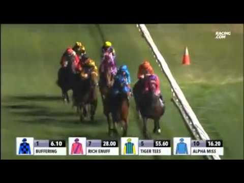 Chautauqua - Manikato Stakes 2015