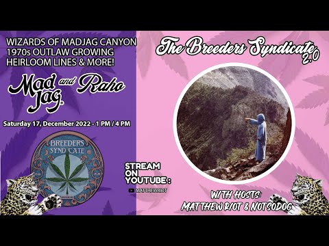 Breeders Syndicate 2.0- EPIC 80s Madjag Canyon Grow - Smuggling, Cartels & More w/Jim & Raho PT 1