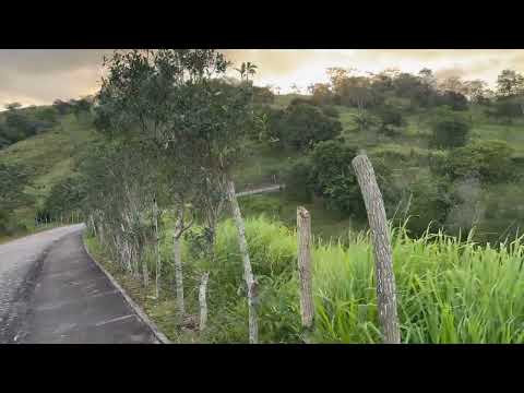 Vila de São Francisco Paulo Jacinto Alagoas 