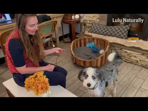 LuluNaturally.com video.