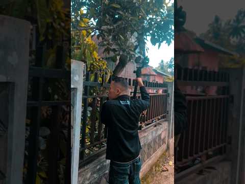 kambuh-dia-semuaorang-tukangfotowedding-wedding-baralekminang-lawakminang-semuaorang