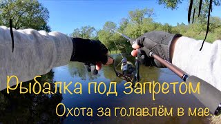 Смоленской обл рыбалка клев