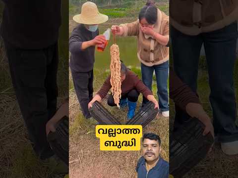 ബുദ്ധി 🙏🏻#agriculture #garden #home #farming #cooking #fishing #food #music #funny #viral #shorts