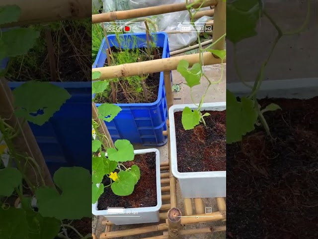 Video quá trình thi công