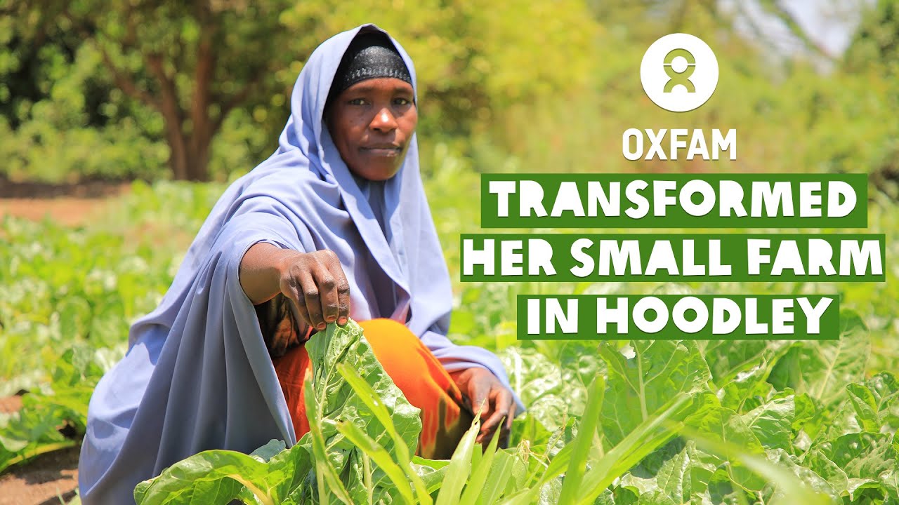 Green Fields, Brighter Futures: Amina Osman's Story