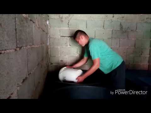 Priprema šljiva za pečenje rakije