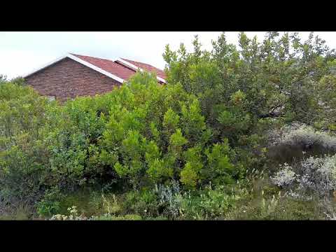 64 A Ferox Street (Dana Bay) - Sea View Stand For Sale In Dana Bay