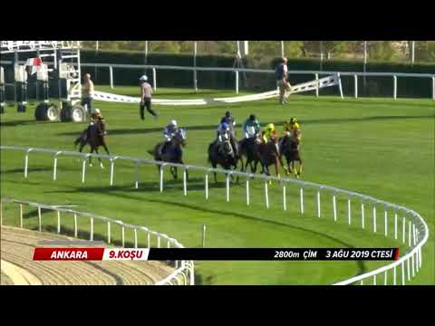 UZUNYAYLA KOŞUSU  KV-8/3+İ   03/08/2019   ANKARA