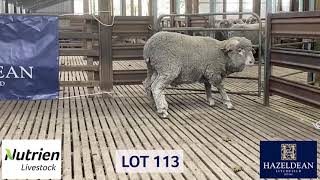 Download lagu Lot 113 mp3 Download lagu Lot 113 mp3