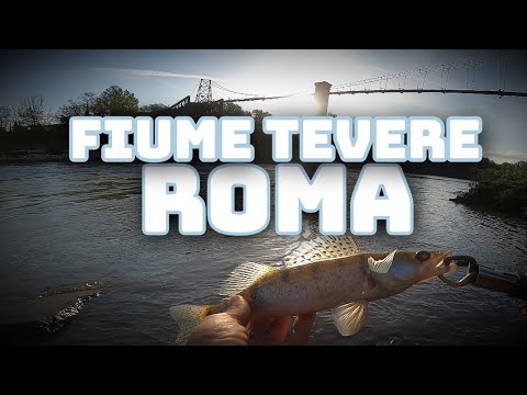 Spinning at the Predators of the Tiber River 🎣 Castel Giubileo / ⚠️ ROME ⚠️