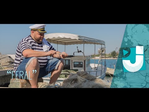 Branko Medak - Feral (OFFICIAL VIDEO)