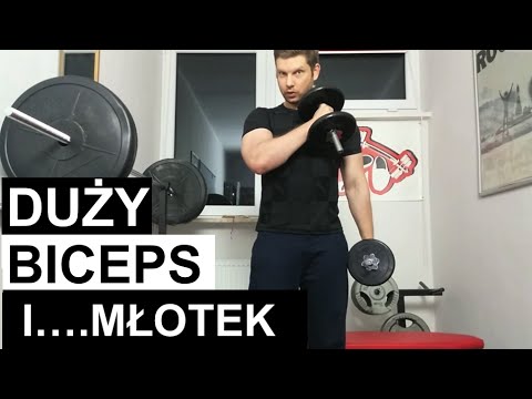 Co mięśnie grupy pracują przy jeździe Puchar MMK kulturystyka