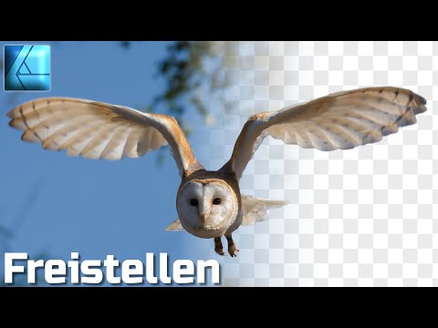 Freistellen / Ausschneiden | Affinity Designer Tutorial Deutsch