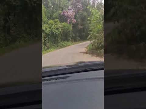 VEJA OQUE A ENEL FEZ NA ESTRADA DA SAMA.