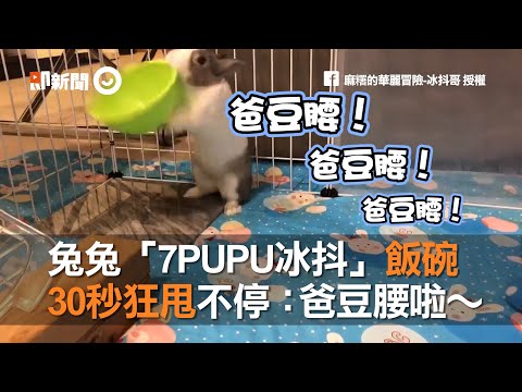 兇兔子