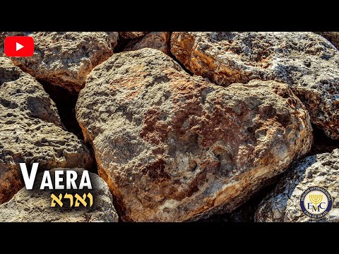📜 Curiosidades de la parashah - VAERA #14