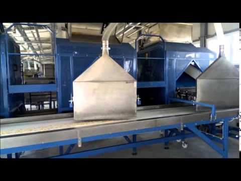 Dry chamomile processing