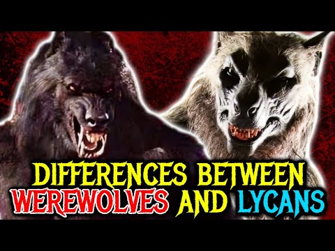 How Are Werewolves Different from Lycans? - Explained - A Side-by-Side Comparison