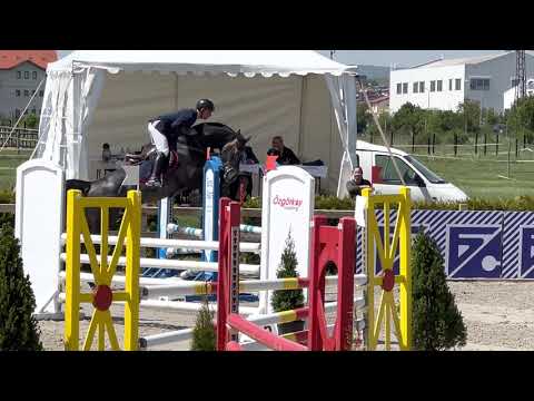 DiCaprio- Breeding Stallion by Diamant de Semilly and Cornet Obolensky