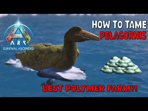 Ark Survival Ascended | How To Tame PELAGORNIS - Best Polymer Farming on The Island!