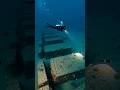 Ram Setu Revealed Real Underwater Visuals Of The Ancient Bridge Ramsetu Adamsbridge Shorts