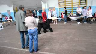 , видео 06.09.2015