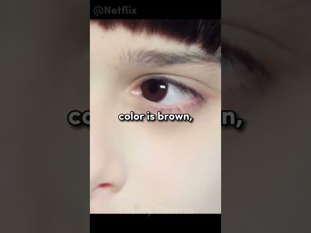 Vídeo relacionado con Stranger Things 80´S Sunset Mindflayer Group Unisex Sweatshirt, White, Medium