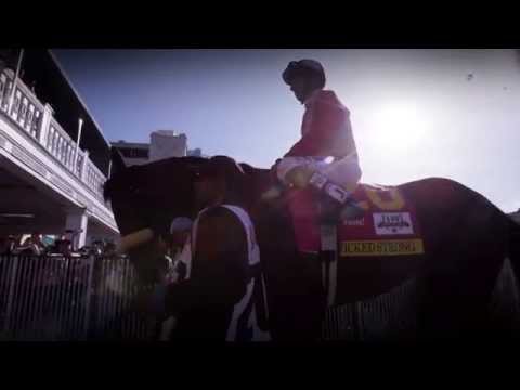 Travers Stakes: Get to Know Wicked Strong