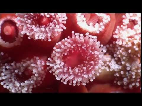 Jean Michel Jarre - Palawan