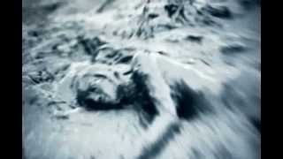 Edward Ka-Spel - The Fool