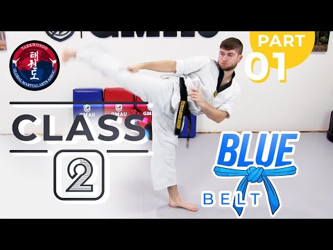 Taekwondo - Blue Belt - Class 2 (Part 1) thumbnail