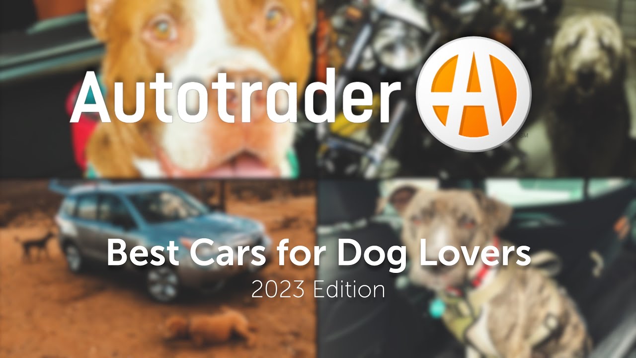 Best Cars for Dog Lovers Autotrader