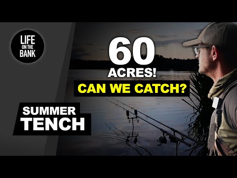 TENCH FISHING IN SUMMER - 60 acres can we catch