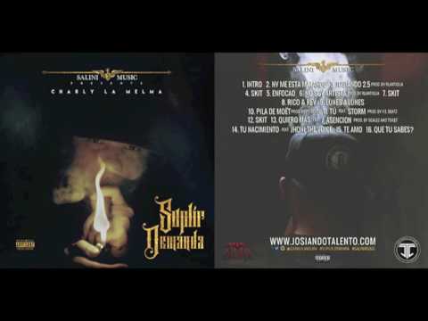 Charly La Melma - No Soy Artista (Suplir Demanda) (2015)