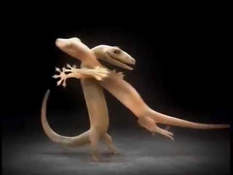 Shera Ceiling Board - Jing-Jok (2007, Thailand)