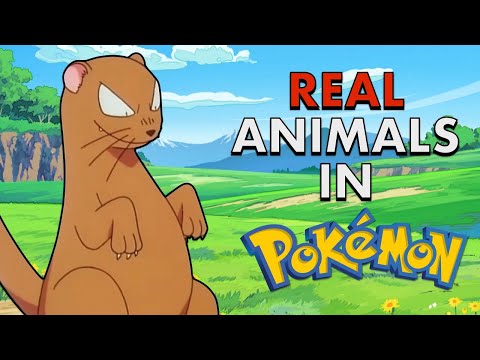 Remember When Real Animals Existed in Pokémon?