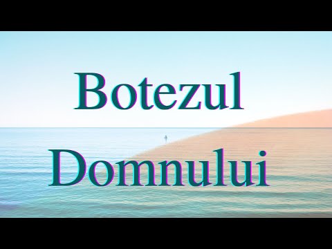 Botezul Domnului 8 Ianuarie 2023 (Daniel Brânzei)