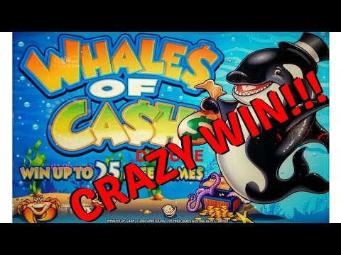 Whales of cash game
